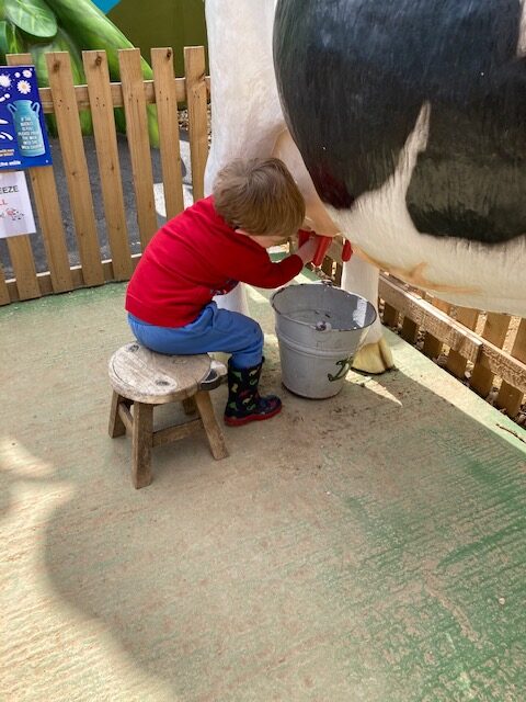 child milking a cow